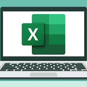 MS Excel Formulas and Functions